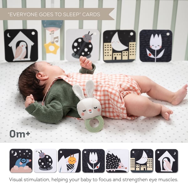 Taf Toys 13265
