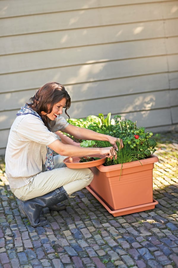 Miniatyrbillede 4 af 5: elho 8711904155094 tilbehør til plantekasse Sauceskål