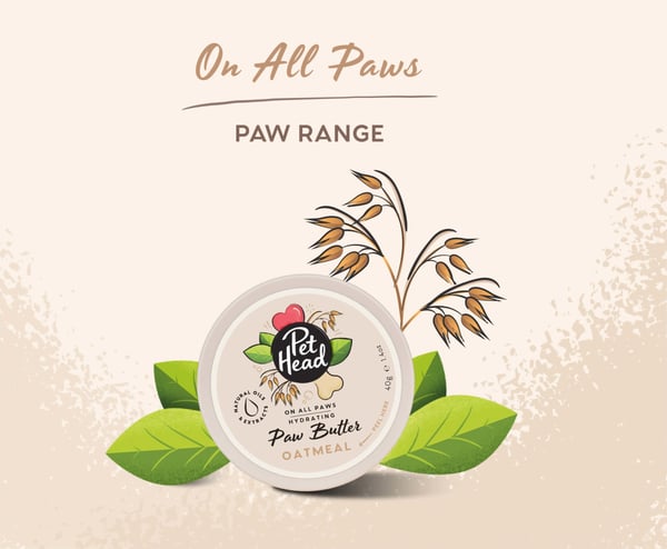 Pet Head On All Paws Paw Butter Balm