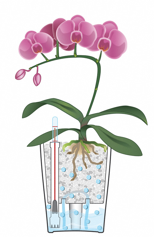 LECHUZA MINI-DELTINI Indendørs Potteplante Fritstående Polypropylen (PP) Hvid