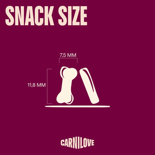 Pikkukuva 8 / 9: CARNILOVE SOFT Koira Välipala Lohi 200 g