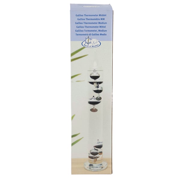 Miniatyrbild 4 av 5: Esschert Design TH43 termometrar