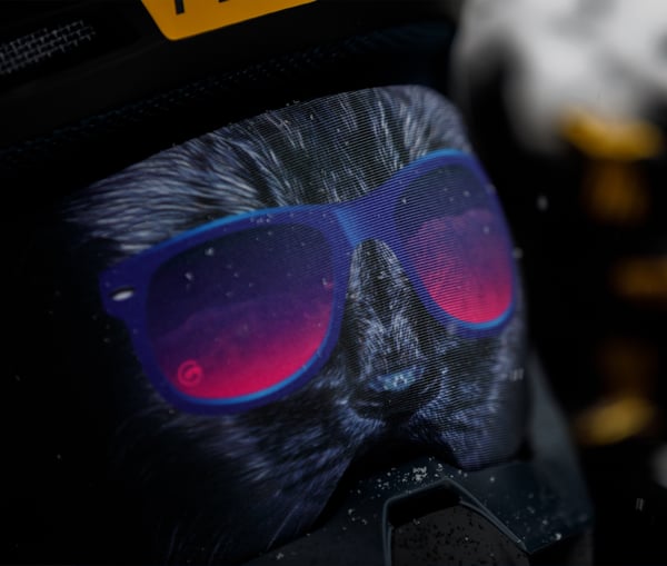 gogglesoc Bad Kitty Soc Fodral Återvunnen polyetentereftalat (rPET) Svart