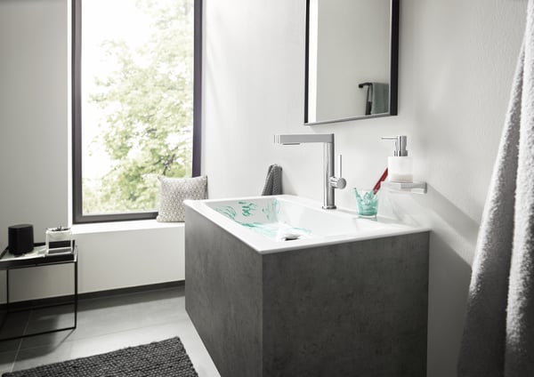 Hansgrohe 76063000 vandhane til badeværelse Krom