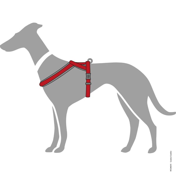 Hunter London Comfort L Polyester Hund Snudesele