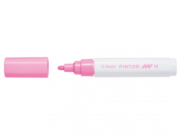 Pilot Pintor Rosa
