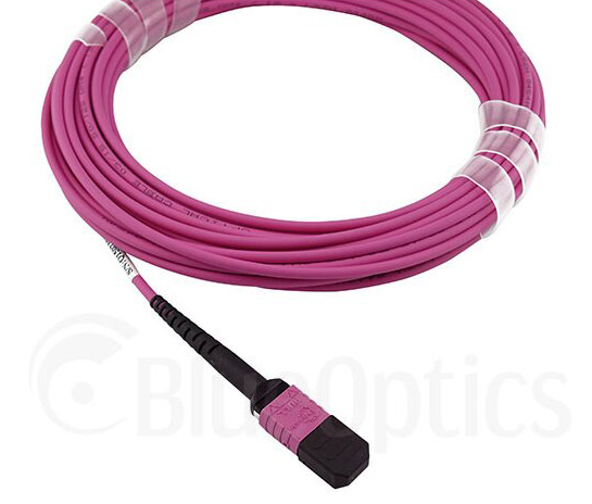 Miniatyrbild 7 av 7: BlueOptics CBL-MPO12-OM4-20M-BO InfiniBand och fiberoptisk kabel MPO Violett