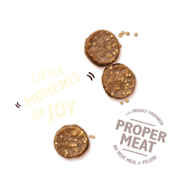 Lily's Kitchen Chomp-Away Chicken Bites Hund Behandle Kylling 70 g