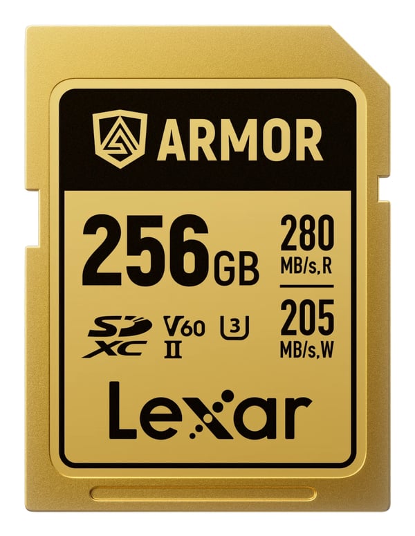 Pikkukuva 1 / 4: Lexar ARMOR GOLD 256 GB SDXC UHS-II