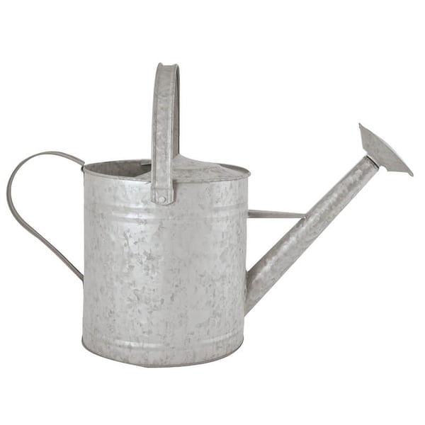 Esschert Design OZ44 vattenkanna 3,5 l Zink Esschert Design OZ44 vattenkanna 3,5 l Zink