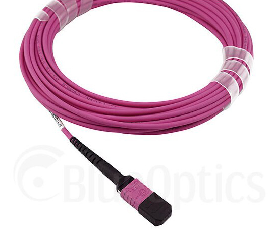 BlueOptics CBL-MPO12-OM4-30M-BO InfiniBand och fiberoptisk kabel MPO Rosa