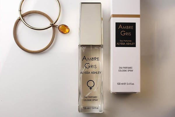 Alyssa Ashley Ambre Gris 100 ml eau de cologne Kvinder
