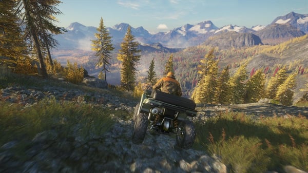 THQ Nordic theHunter : Call of The Wild - 2019 Edition - Game of the Year Edition PC