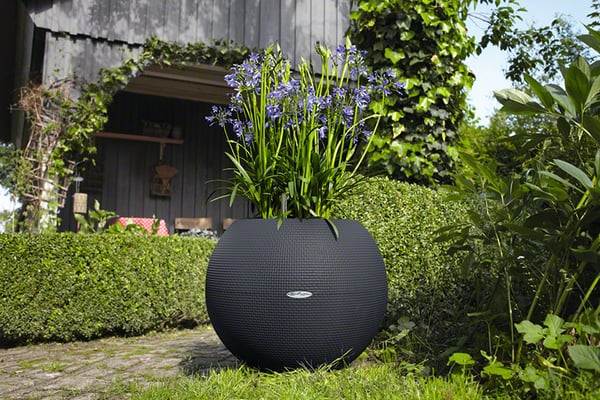 LECHUZA LECHUZA-PURO Color 50 All-in-One Set Inomhus / utomhus Planteringskruka Fristående Polypropylen (PP) Vit