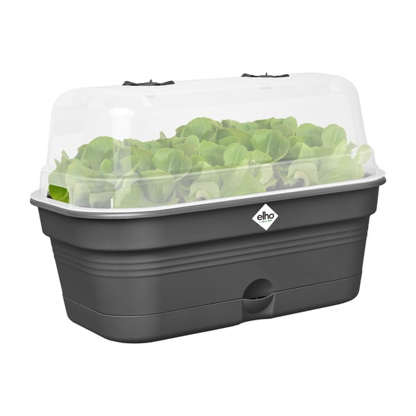 elho 8711904515881 planteringskruka Plast Svart
