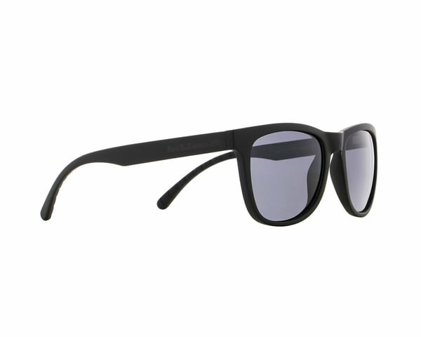 Miniatyrbillede 2 af 2: RedBull SPECT Ecos Multisport briller Unisex Fuld kant Sort