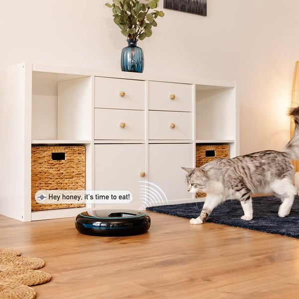 Cecotec Pumba 1600 Purrfect Meal vandskål og foderautomat til hund og kat Sort Automatisk foderautomat til kæledyr
