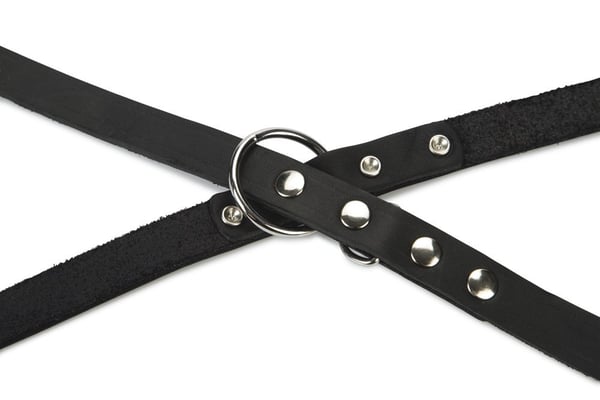 Beeztees 736392 2 m Sort Læder Hund Standardledning