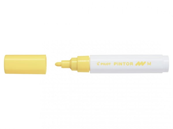 Pilot Pintor Gul