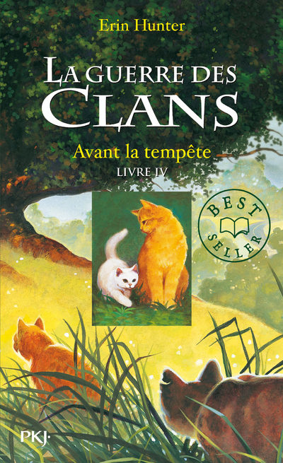 Pocket Jeunesse GUERRE CLANS T04 AVANT TEMPETE bog Fransk 346 Sider
