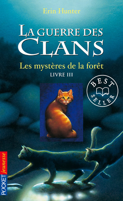 Pocket Jeunesse GUERRE CLANS T03 MYSTERES FORE bog Fransk 318 Sider