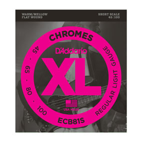 D'Addario ECB81S streng til musikinstrument Bass 4 stk Krom Guitar