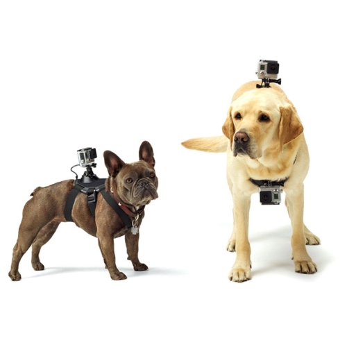 Hundesele med kamerafeste for GoPro HERO Hundesele med kamerafeste for GoPro HERO