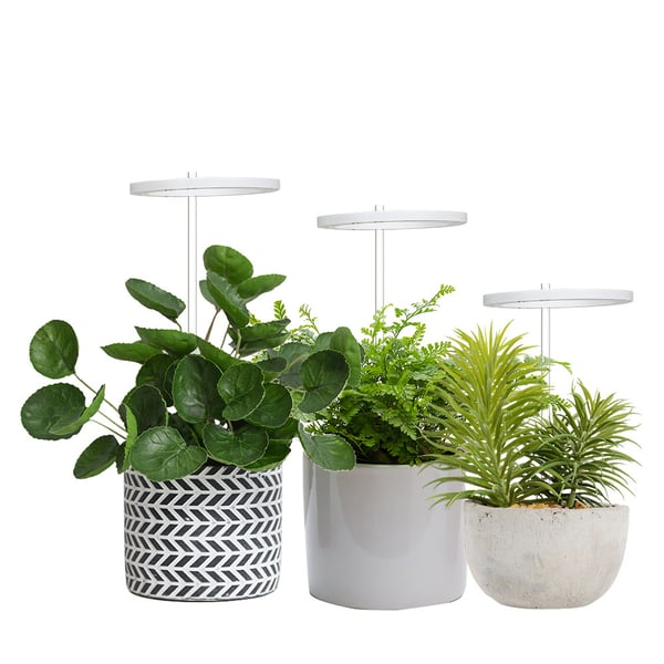 LED-plantelys / plantebelysning til indendørs planter / vækstlys med LED-ring / plantelampe 5V