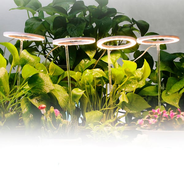 LED-plantelys / plantebelysning til indendørs planter / vækstlys med LED-ring / plantelampe 5V