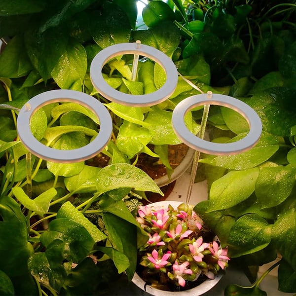 LED-plantelys / plantebelysning til indendørs planter / vækstlys med LED-ring / plantelampe 5V