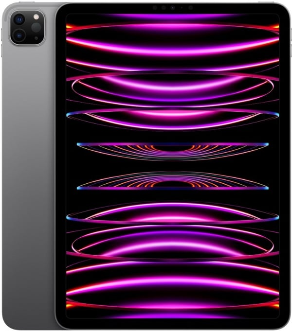 Begagnad iPad Pro 11 2022 256GB SIM Svart Gra A