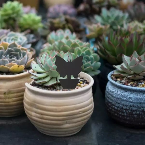 Praktiska Effektfulla Flugfällor / Insektsfällor (6-Pack)