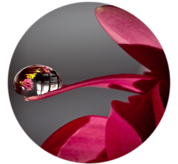 Mobilhållare i elegant motiv "Flower-Mist" - Pop-stand -
