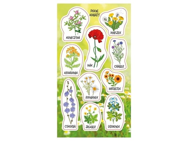 RANOK 88959 Wildflowers tarrapäälliköt