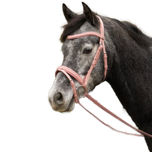 Little Rider Serena Leather Horse Reins