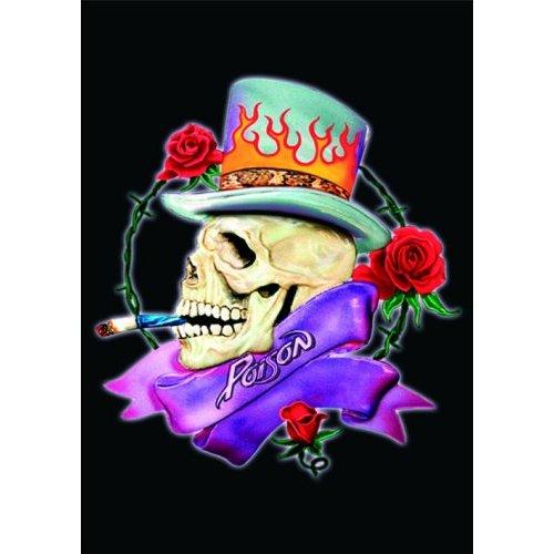 Poison Skull Postcard