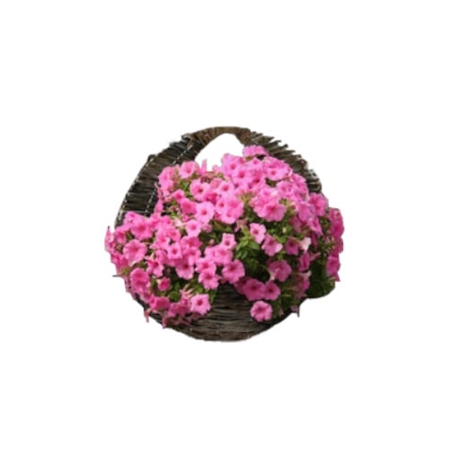 Ambassador Willow Wall Basket