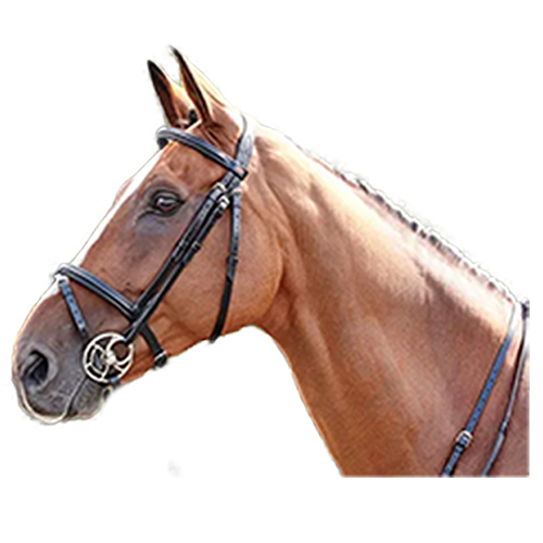 Whitaker Barton Leather Plain Horse Browband