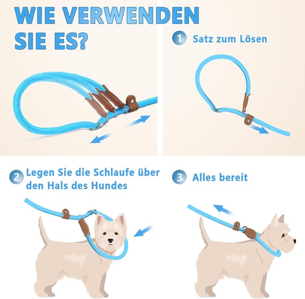 Halkfritt blått hundhalsband med koppel, längd 130 cm, diameter 8 mm