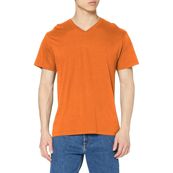 Stedman Mens Classic V Neck Tee