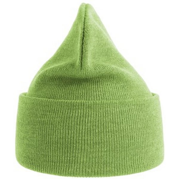 Atlantis Unisex Adult Pure Recycled Beanie