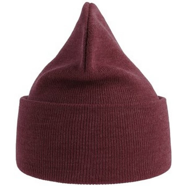 Atlantis Unisex Adult Pure Recycled Beanie