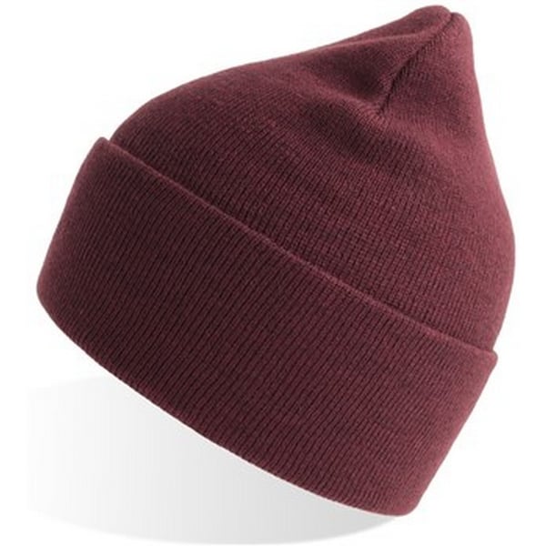 Atlantis Unisex Adult Pure Recycled Beanie