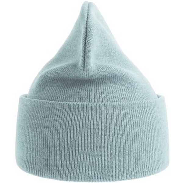 Atlantis Unisex Adult Pure Recycled Beanie