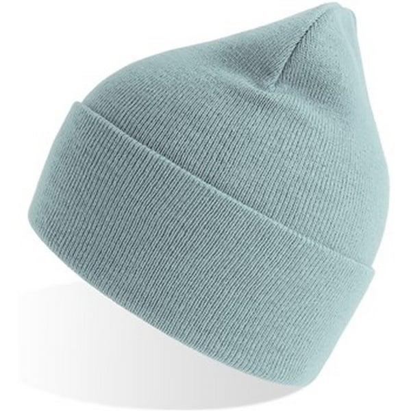 Atlantis Unisex Adult Pure Recycled Beanie