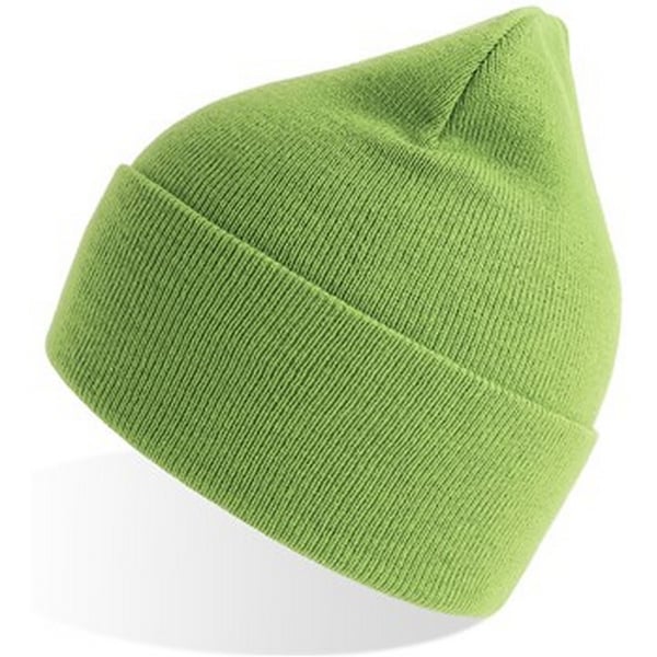 Atlantis Unisex Adult Pure Recycled Beanie