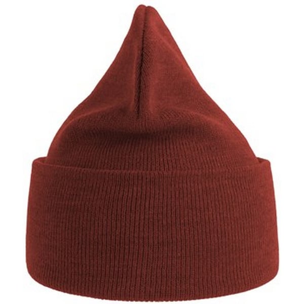 Atlantis Unisex Adult Pure Recycled Beanie