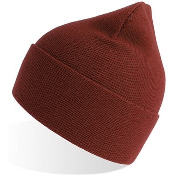 Atlantis Unisex Adult Pure Recycled Beanie