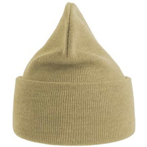 Atlantis Unisex Adult Pure Recycled Beanie