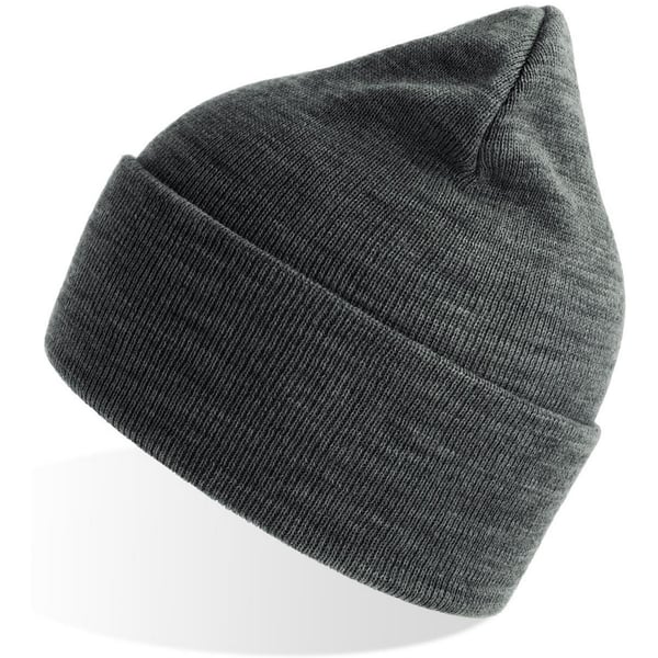 Atlantis Unisex Adult Pure Recycled Beanie